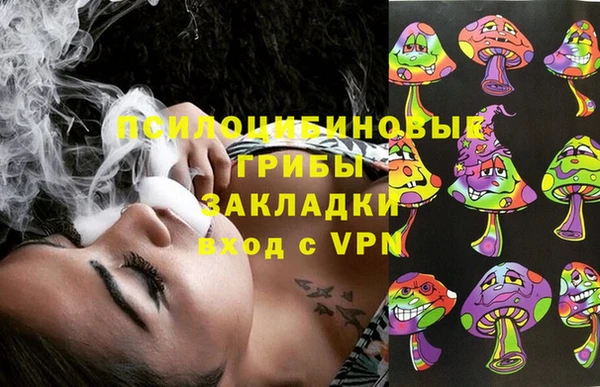 эйфоретик Ветлуга