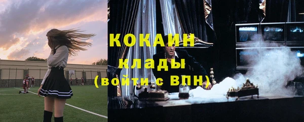 тгк Новозыбков