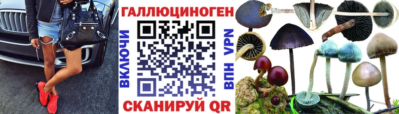Псилоцибиновые грибы ЛСД  kraken как зайти  Кирсанов 